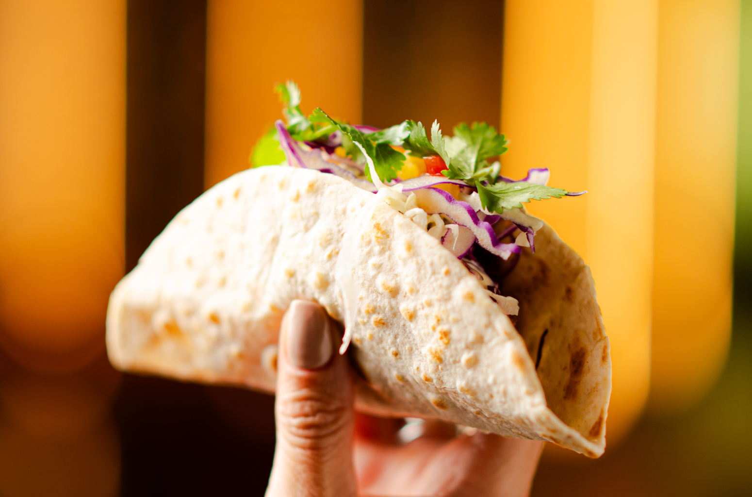 Taco Tuesday Sienna Auckland